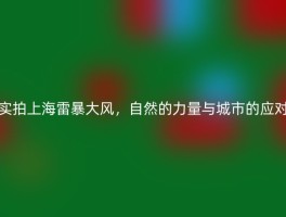 实拍上海雷暴大风，自然的力量与城市的应对