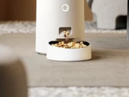 南信大全自动取餐猫：校园餐饮新宠儿