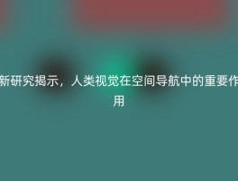 新研究揭示，人类视觉在空间导航中的重要作用