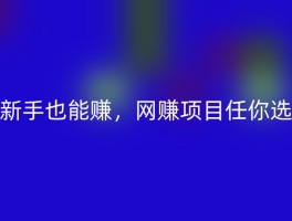新手也能赚，网赚项目任你选