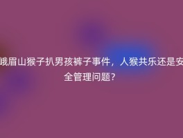 峨眉山猴子扒男孩裤子事件，人猴共乐还是安全管理问题？
