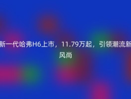 新一代哈弗H6上市，11.79万起，引领潮流新风尚