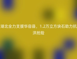 湖北全力支援华容县，1.2万立方块石助力抗洪抢险