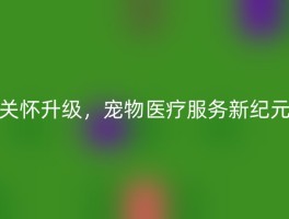 关怀升级，宠物医疗服务新纪元