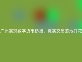 广州实现数字货币桥接，真实交易落地开花