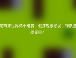 葡萄牙世界杯小组赛，假摔现象频发，球队备战受阻？