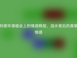 刘德华演唱会上的情感释放，泪水背后的真挚情感