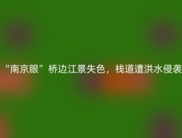 “南京眼”桥边江景失色，栈道遭洪水侵袭