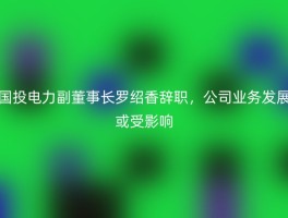 国投电力副董事长罗绍香辞职，公司业务发展或受影响
