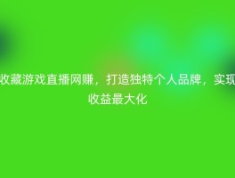 收藏游戏直播网赚，打造独特个人品牌，实现收益最大化