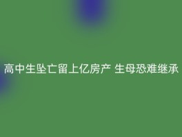 高中生坠亡留上亿房产 生母恐难继承