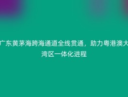 广东黄茅海跨海通道全线贯通，助力粤港澳大湾区一体化进程