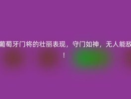 葡萄牙门将的壮丽表现，守门如神，无人能敌！
