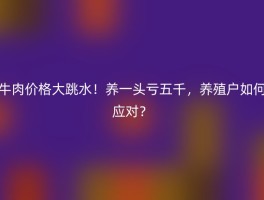牛肉价格大跳水！养一头亏五千，养殖户如何应对？