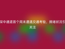 深中通道首个周末遭遇交通考验，拥堵状况引关注