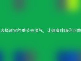 选择适宜的季节去湿气，让健康伴随你四季