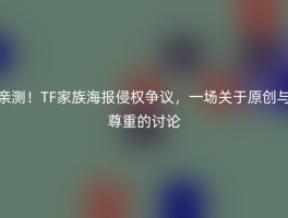 亲测！TF家族海报侵权争议，一场关于原创与尊重的讨论