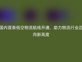 国内首条低空物流航线开通，助力物流行业迈向新高度