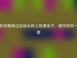 杭州梅雨过后街头树上挂满虫子，城市的另一面