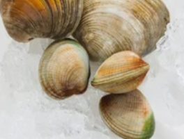 黄蚬子煮多长时间？渔民传授3种熟度秘诀