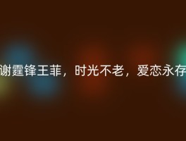 谢霆锋王菲，时光不老，爱恋永存