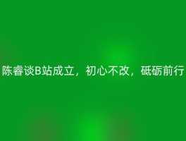陈睿谈B站成立，初心不改，砥砺前行