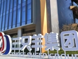 三只羊复出首秀GMV1.2亿：直播电商进入"去疯狂化"时代