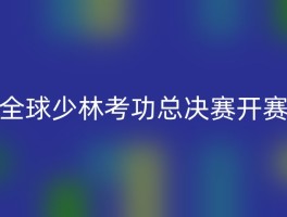 全球少林考功总决赛开赛
