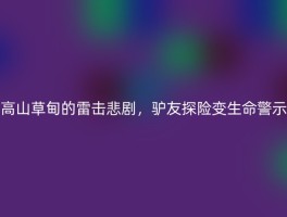 高山草甸的雷击悲剧，驴友探险变生命警示