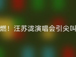 燃！汪苏泷演唱会引尖叫