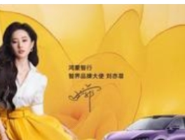 刘亦菲智美搭子智界R7上新，引领出行新风尚