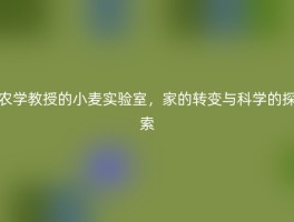 农学教授的小麦实验室，家的转变与科学的探索