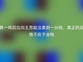 黄一鸣回应向王思聪没要到一分钱，真正的友情不在于金钱