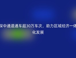 深中通道通车超30万车次，助力区域经济一体化发展
