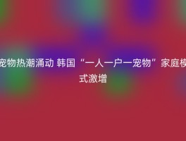 宠物热潮涌动 韩国“一人一户一宠物”家庭模式激增