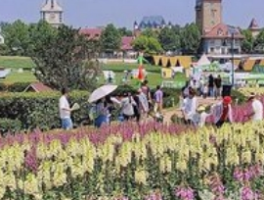 湖北A级景区接待游客逾334万人次