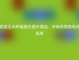 美国玉米种植面积意外增加，市场供需格局待观察