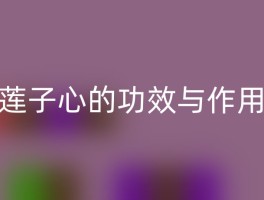 莲子心的功效与作用