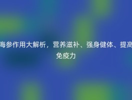 海参作用大解析，营养滋补、强身健体、提高免疫力