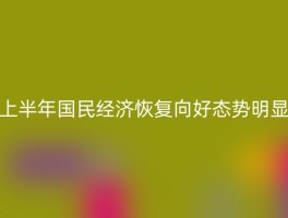 上半年国民经济恢复向好态势明显