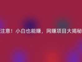 注意！小白也能赚，网赚项目大揭秘