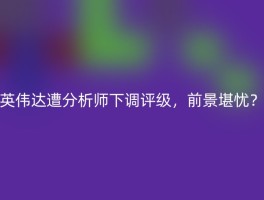 英伟达遭分析师下调评级，前景堪忧？