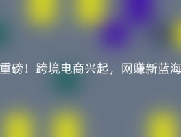 重磅！跨境电商兴起，网赚新蓝海