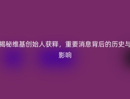 揭秘维基创始人获释，重要消息背后的历史与影响
