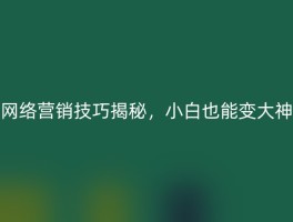 网络营销技巧揭秘，小白也能变大神