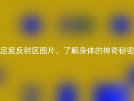 足底反射区图片，了解身体的神奇秘密