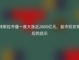 特斯拉市值一夜大涨近2800亿元，股市狂欢背后的启示