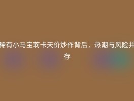 稀有小马宝莉卡天价炒作背后，热潮与风险并存