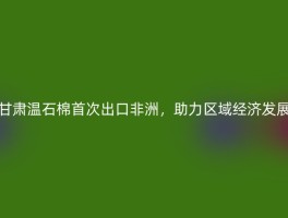甘肃温石棉首次出口非洲，助力区域经济发展