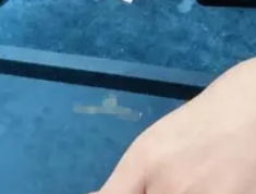 俞灏明王晓晨低调完婚，圈内好友送祝福